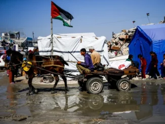 Uma visão da poluição causada por lixo e diversos resíduos em Jabalia, Gaza, em 13 de março de 2025 [Mahmoud İssa/Agência Anadolu] Fonte: Al Jazeera