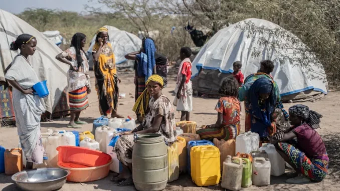 AFP__20250112__36TJ9Z9__v1__HighRes__EthiopiaEarthquake-1745318744 Crianças e mulheres grávidas e lactantes na Etiópia precisam de tratamento urgente contra a desnutrição, segundo o WFP.