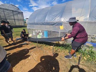 Técnicos agrícolas africanos durante treinamento prático em manejo de estufas na Universidade Nacional de Pingtung, Taiwan, julho de 2024.