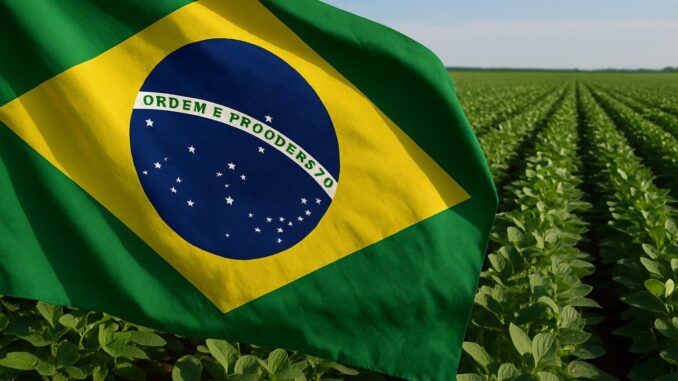 Bandeira do Brasil sobreposta a uma plantação agrícola, simbolizando a relação entre o setor agrícola brasileiro e o contexto comercial internacional.