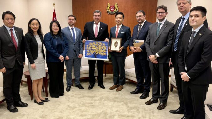 Foto de uma delegação empresarial brasileira em Singapura. Eduardo Riedel (PSDB) está ao centro, segurando uma obra de arte, rodeado por nove representantes de Singapura e empresários. Todos vestem trajes formais e posam em um ambiente institucional, com bandeira e brasão ao fundo.