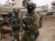 Tropas das Forças de Defesa de Israel (IDF) armadas avançam na Cidade de Gaza com um cão de detecção, próximo a prédios destruídos e veículos militares.