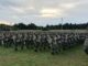 Paraquedistas russos se preparando para embarcar em aeronaves de transporte durante os exercícios militares Zapad 2021.
